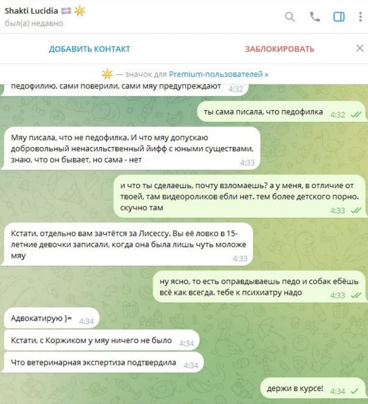 Скриншот переписки с Shakti Lucidia: завершение переписки.