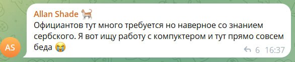 Скриншот TG-чата: сообщение от Allan Shade — «Официантов тут много требуется но наверное со знанием сербского. Я вот ищу работу с компьютером и тут прямо совсем беда» (16:37, 6 реакций).