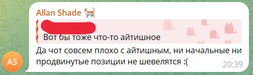 Скриншот: Allan Shade — «Вот бы тоже что-то айтишное / Да чот совсем плохо с айтишным, ни начальные ни продвинутые позиции не шевелятся :(» (20:39). Чьё-то сообщение сверху скрыто редакцией.