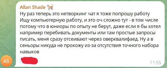 Скриншот: Allan Shade — «Ну раз теперь это нетворкинг чат я тоже попрошу работу / Ищу компьютерную работу, и это оч сложно тут — в том числе потому что в юниоры по опыту не берут, даже если я бы хотел например перебивать документы или там простые запросы писать, меня сразу отсеивают через оверквалифаед. Ну а в сеньоры никуда не прохожу из-за отсутствия точного набора навыков» (11:55).