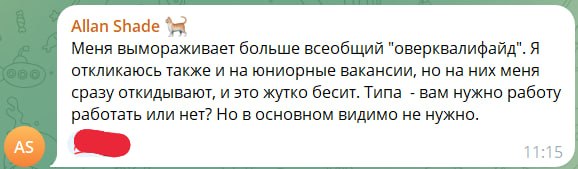 Скриншот: Allan Shade — «Меня вымораживает больше всеобщий «оверквалифайд». Я откликаюсь также и на юниорные вакансии, но на них меня сразу откидывают, и это жутко бесит. Типа — вам нужно работу работать или нет? Но в основном видимо не нужно» (11:15).