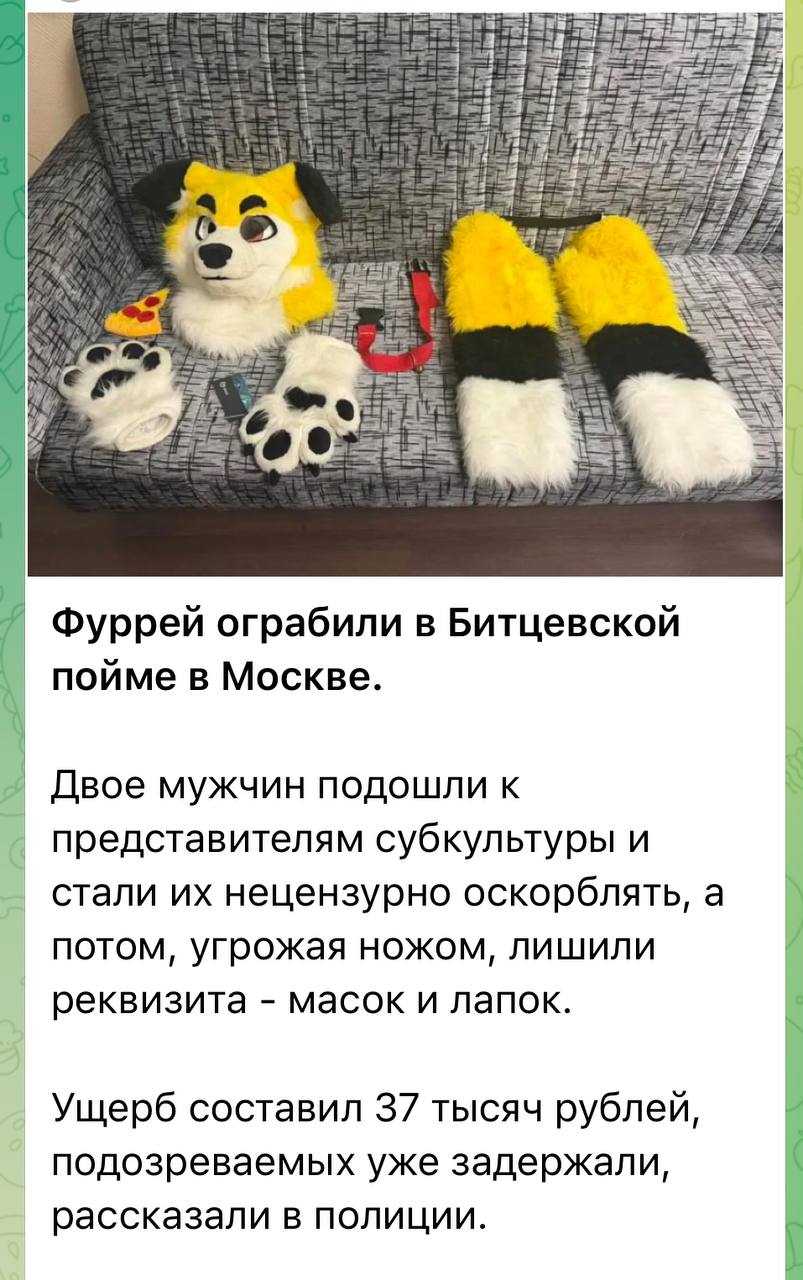 Скриншот новостного Telegram-поста: желтобелый фурсьют (голова зверя, лапки-перчатки, съёмные лапы) лежит разобранным на диване. Текст: «Фуррей ограбили в Битцевской пойме в Москве. Двое мужчин подошли к представителям субкультуры и стали их нецензурно оскорблять, а потом, угрожая ножом, лишили реквизита — масок и лапок. Ущерб составил 37 тысяч рублей, подозреваемых уже задержали, рассказали в полиции».
