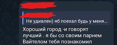 Скриншот короткой переписки Telegram: «Хороший город, говорят лучший, я бы со своим парнем Вайтелом тебя познакомил».