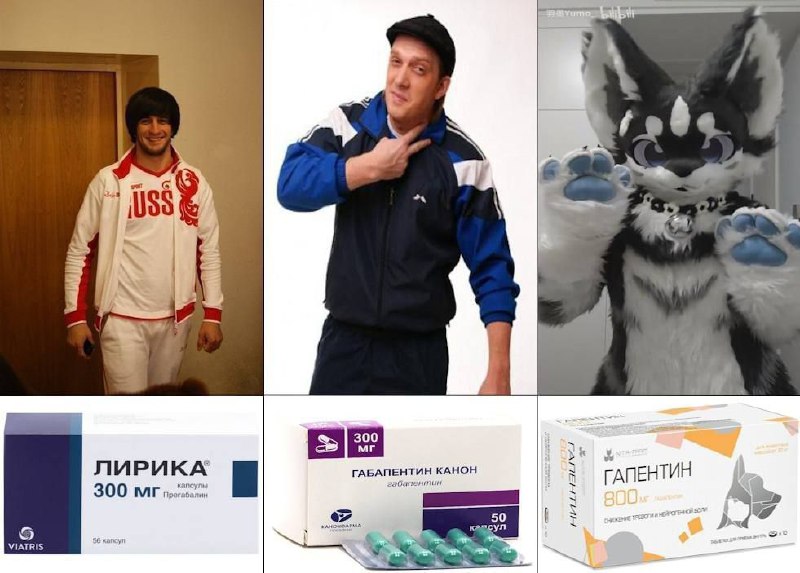 Коллаж из шести фото. Верхний ряд: молодой мужчина в куртке с надписью RUSSIA; спортсмен указывает на себя; чёрно-синий фурсьют. Нижний ряд: упаковки Лирика 300 мг (прегабалин), Габапентин Канон 300 мг, Галентин 800 мг.
