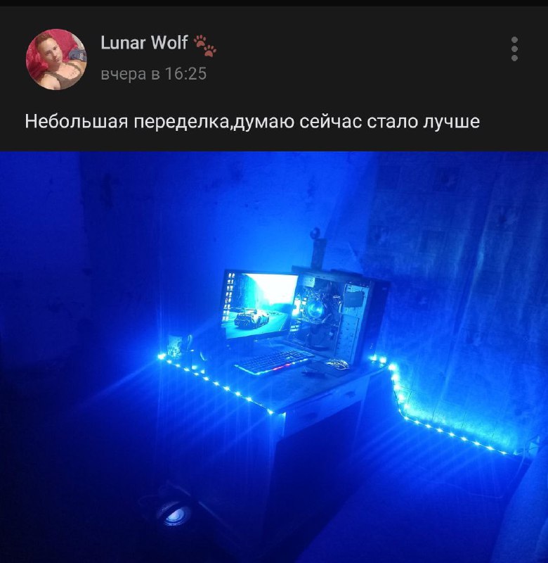 Скриншот Telegram-поста «Lunar Wolf 🐾»: текст о новом игровом сетапе. Фото: тёмный игровой стол с синей LED-подсветкой, монитор, периферия.
