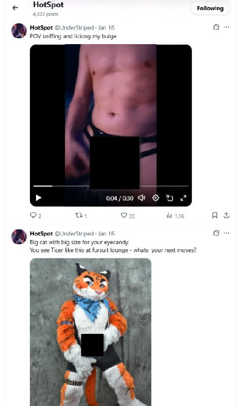 Скриншот Twitter: превью явных видео Тайсера. Контент заблюрен.