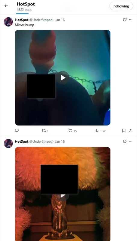 Скриншот Twitter: ещё явный контент Тайсера в фурсьюте. Контент заблюрен.