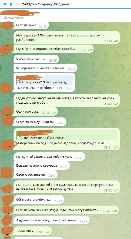 Скриншот Telegram-переписки: продолжение конфликтного диалога с «ЗАРЯДЬ».