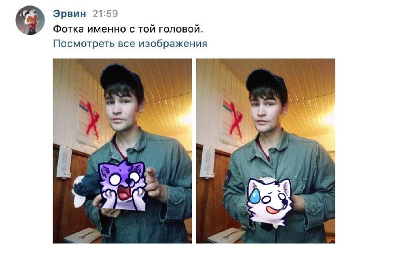 VK-фото «Эрвин»: молодой мужчина в военной куртке держит два плюшевых стикера-голову котика на деревянной стене — фиолетовый испуганный и белый грустный.