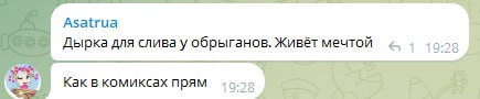 Скриншот чата. Asatrua: «Дырка для слива у обрыганов. Живёт мечтой». Ответ: «Как в комиксах прям».