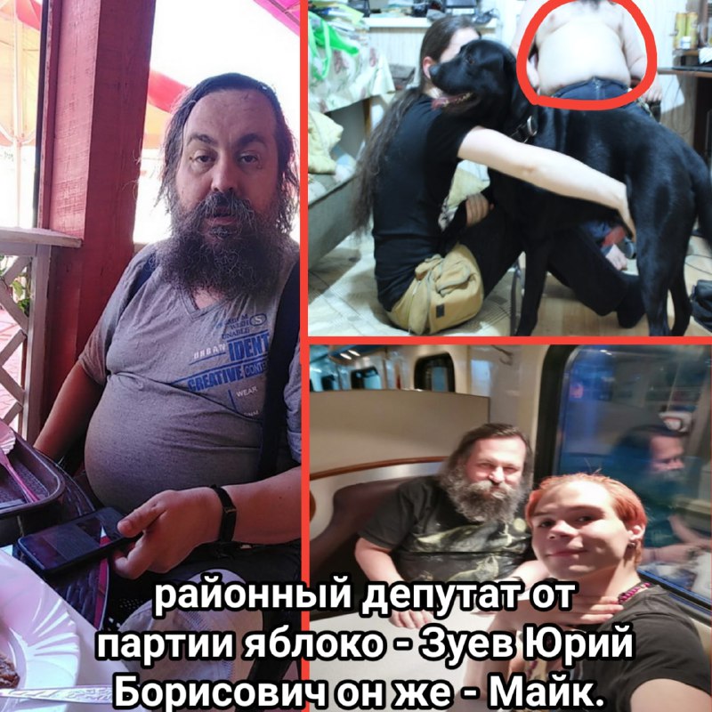 Коллаж для деанонимизации: «Зуев Юрий Борисович (Майк)», партия ЯБЛОКО. Три фото: в кафе, с фурри с чёрной собакой, селфи в поезде с молодым человеком.