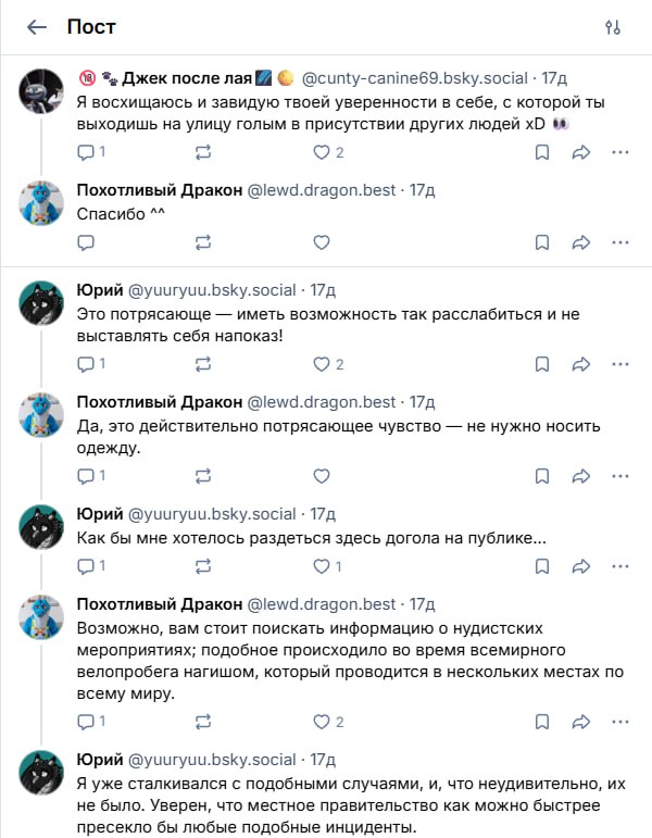 Фото: группа обнажённых людей идёт по городской улице (велопробег голышом).