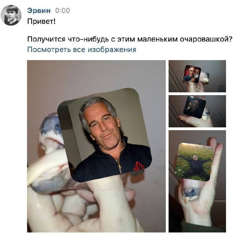 Скриншот VK-переписки «Эрвин»: «Привет! Получится что-нибудь с этим маленьким очаровашкой?» — коллаж фото стикеров в руке: Джеффри Эпштейн, тёмный силуэт, человек на траве.