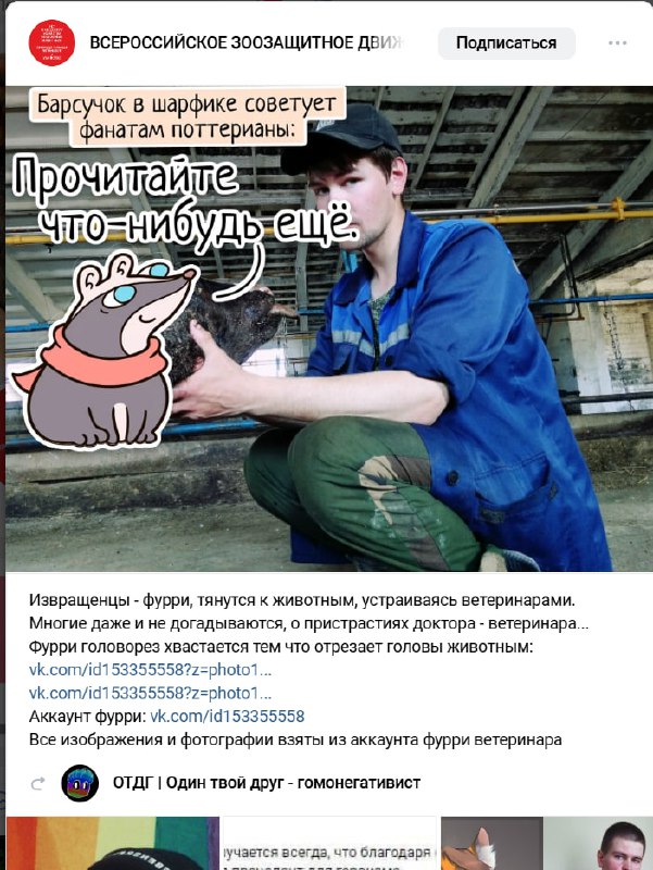 Скриншот Telegram-поста «ВСЕРОССИЙСКОЕ ЗООЗАЩИТНОЕ ДВИ...»: заголовок «Барсучок в шарфике советует фанатам поттерианы: Прочитайте что-нибудь ещё.» — мультяшный барсук в шарфике. Текст: «Извращенцы-фурри, тянутся к животным, устраиваясь ветеринарами. Многие даже и не догадываются, о пристрастиях доктора-ветеринара... Фурри-головорез хвастается тем что отрезает головы животным: vk.com/id153355558?z=photo1... Аккаунт фурри: vk.com/id153355558?z=photo1... Все изображения и фотографии взяты из аккаунта фурри ветеринара.» Внизу ссылка на «ОТДГ | Один твой друг — гомонегативист».