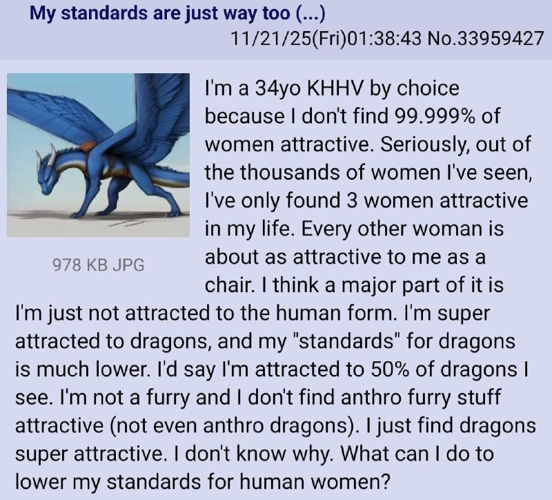 Скриншот поста 4chan, тред «My standards are just way too (...)», 11/21/25(Fri)01:38:43, No.33959427. Миниатюра вложения: синий дракон, иллюстрация (978 KB JPG). Текст: «I'm a 34yo KHHV by choice because I don't find 99.999% of women attractive. Seriously, out of the thousands of women I've seen, I've only found 3 women attractive in my life. Every other woman is about as attractive to me as a chair. I think a major part of it is I'm just not attracted to the human form. I'm super attracted to dragons, and my «standards» for dragons is much lower. I'd say I'm attracted to 50% of dragons I see. I'm not a furry and I don't find anthro furry stuff attractive (not even anthro dragons). I just find dragons super attractive. I don't know why. What can I do to lower my standards for human women?»
