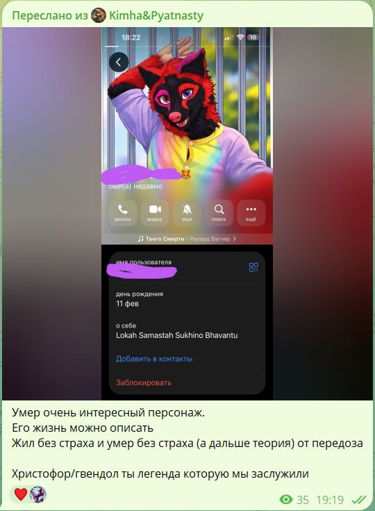 Скриншот пересланного сообщения из канала «Kimha&Pyatnasty» (18:22). На заднем плане — открытый профиль пользователя Telegram: аватар — человек в чёрно-красном фурсьюте с лисьей маской в радужной толстовке; поля профиля: день рождения — 11 фев, о себе — «Lokah Samastah Sukhino Bhavantu»; кнопки «Добавить в контакты» и «Заблокировать». Внизу воспроизводится трек «Танго Смерти — Гауэр Вагнер». Текст под скриншотом: «Умер очень интересный персонаж. Его жизнь можно описать — Жил без страха и умер без страха (а дальше теория) от передоза. Христофор/гвендол ты легенда которую мы заслужили». Реакции: ❤️🐾 · 35 просмотров · 15:19.