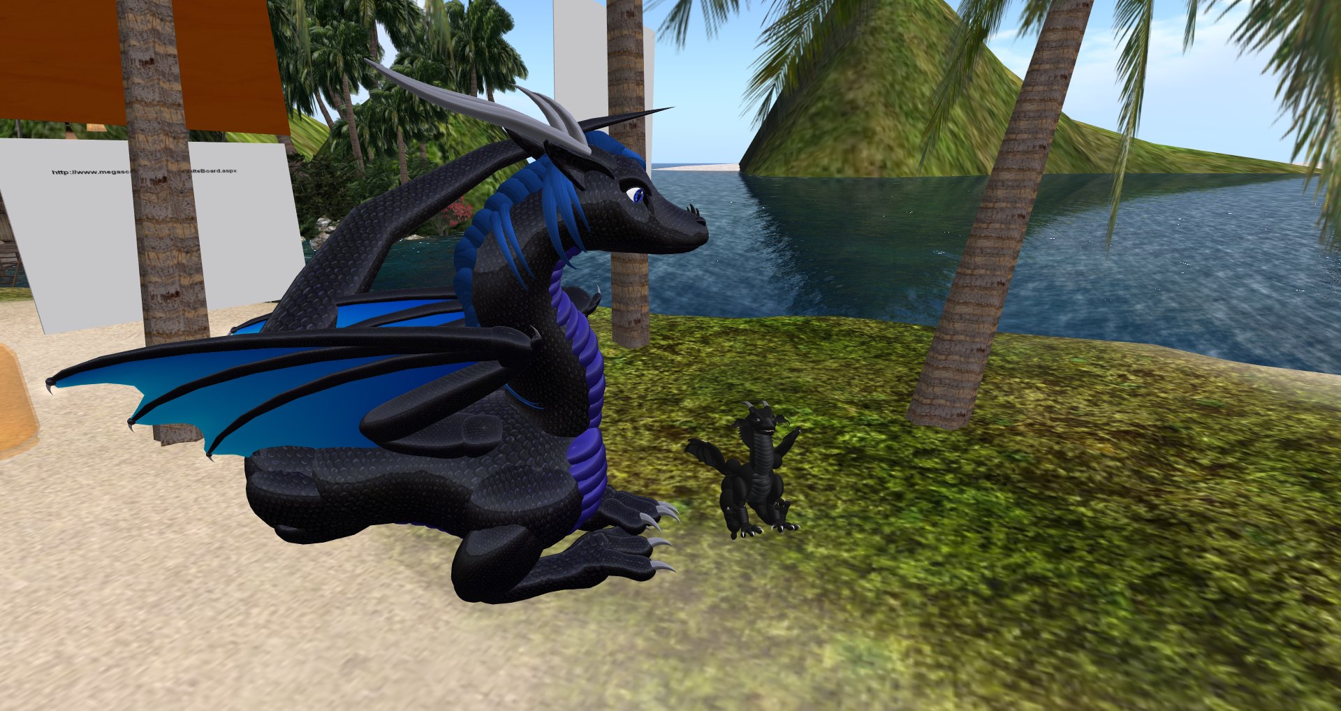 Скриншот Second Life: большой тёмно-синий дракон сидит на траве тропического острова, рядом стоит маленький чёрный дракончик