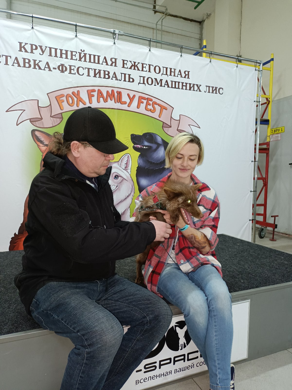 📷 Мужчина в чёрной куртке и женщина в клетчатой куртке держат небольшую лису перед баннером «КРУПНЕЙШАЯ ЕЖЕГОДНАЯ ВЫСТАВКА-ФЕСТИВАЛЬ ДОМАШНИХ ЛИС FOX FAMILY FEST»; ниже частичный логотип «SPACE вселенная вашей со...».
