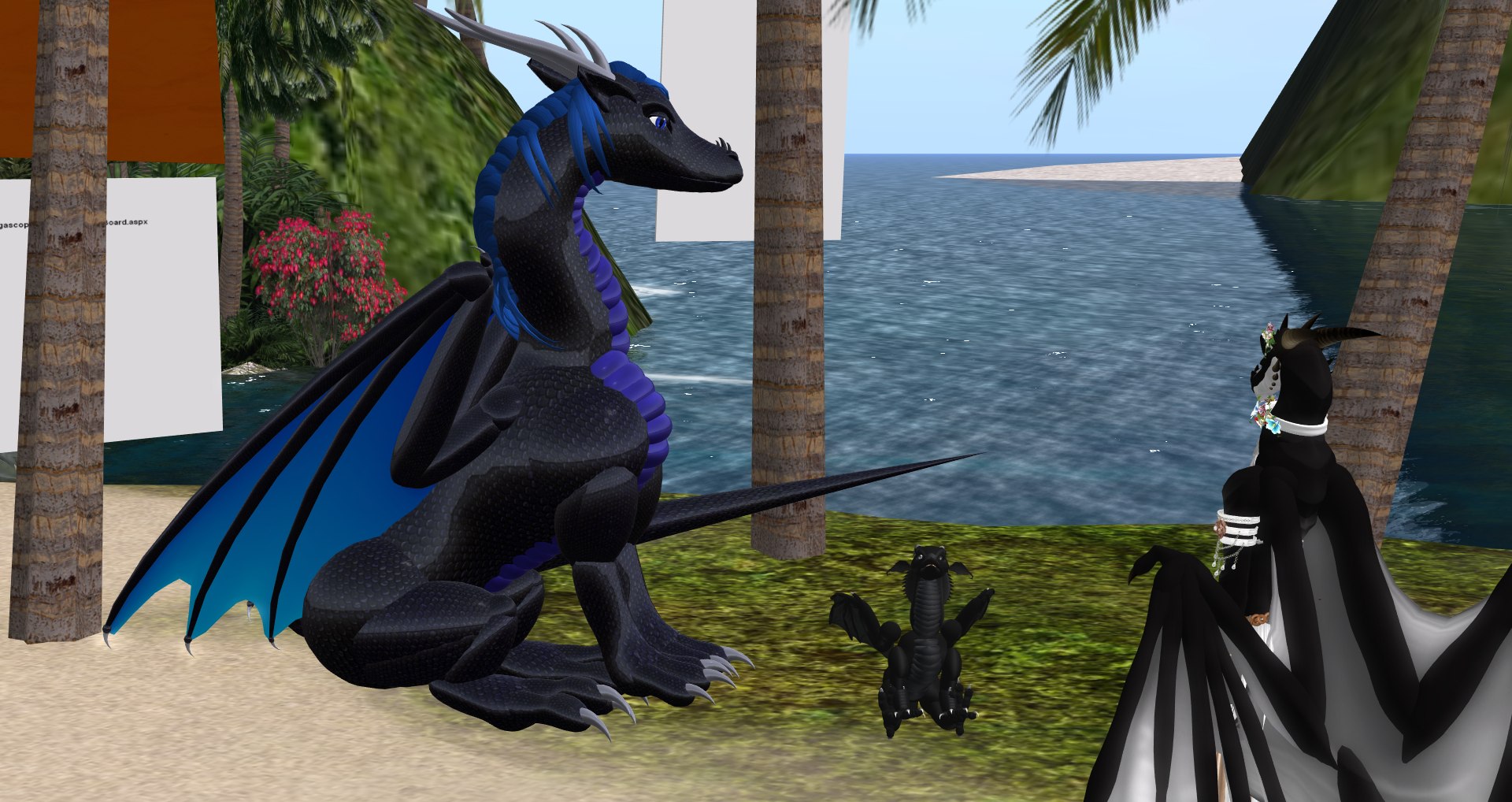 Скриншот Second Life: чёрный дракон с синими крыльями и маленький дракончик на острове с пальмами и океаном