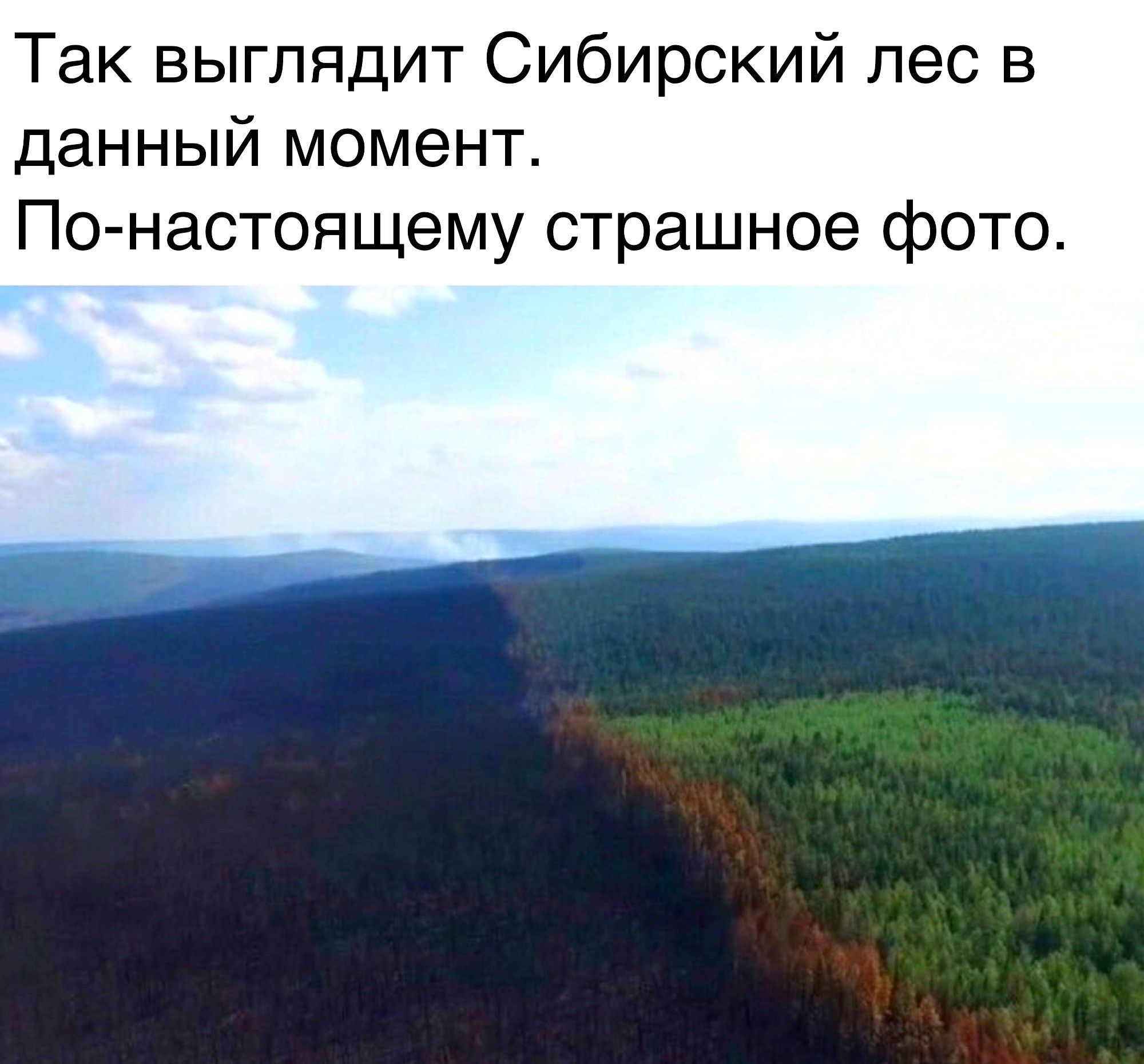 Аэрофотоснимок сибирского леса: слева — полностью выгоревший чёрный лес, справа — живой зелёный лес; чёткая граница между ними, дым вдали на горизонте; текст на фото: «Так выглядит Сибирский лес в данный момент. По-настоящему страшное фото.»