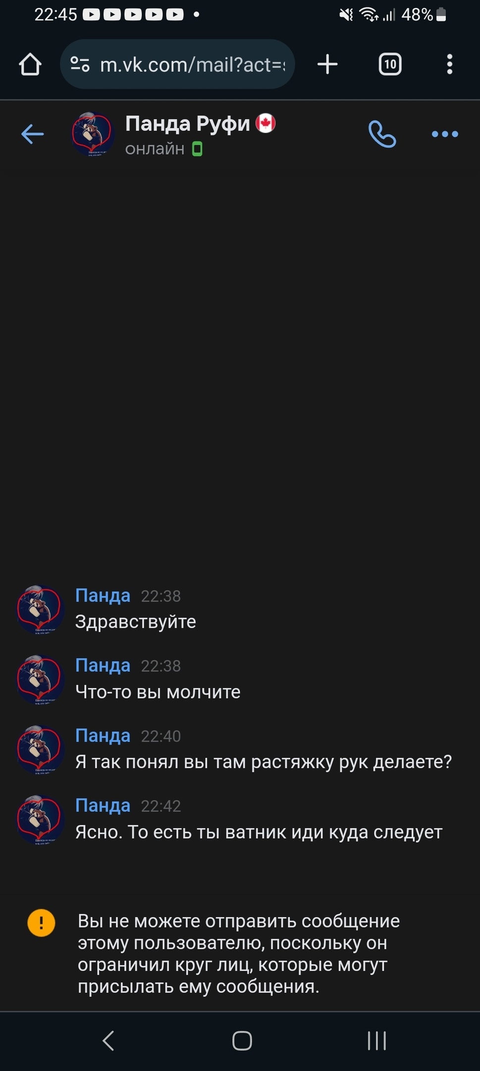 📋 ВКонтакте, мессенджер: переписка с «Панда Руфи 🍁» (статус — онлайн, время 22:45): «Здравствуйте» → (долгое молчание) → «Что-то вы молчите» → «Я так понял вы там растяжку рук делаете?» → «Ясно. То есть ты ватник иди куда следует» → «Вы не можете отправить сообщение этому пользователю».