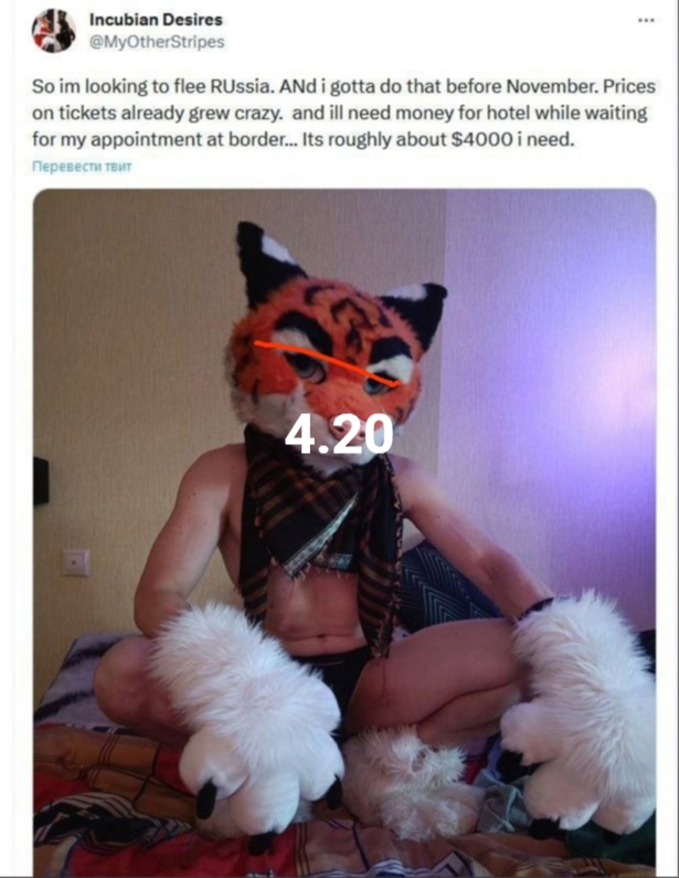 📋 Twitter/X: «Incubian Desires @MyOtherStripes: So im looking to flee RUssia. ANd i gotta do that before November. Prices on tickets already grew crazy. and ill need money for hotel while waiting for my appointment at border... Its roughly about $4000 i need.» — фото в маске тигра, надпись «4.20».