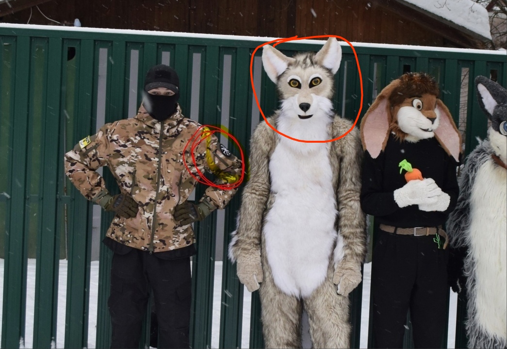 📷 Четверо у зелёного забора зимой: слева человек в балаклаве и камуфляже, рядом полноростовой фурсьют волка (серый), фурсьют кролика (с морковкой), четвёртый (частично виден). Красные аннотации-кружки обведены вокруг двух фигур.