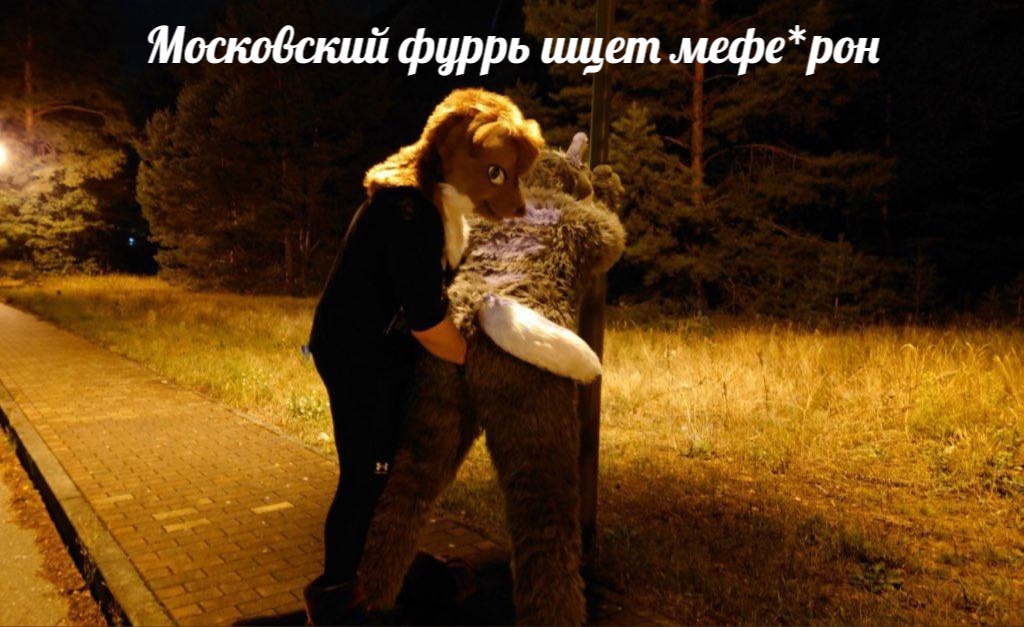 🖼️ Мем: ночная аллея, человек в тёмной одежде стоит рядом с кем-то в фурсьюте; надпись вверху: «Московский фуррь ищет мефе*рон».