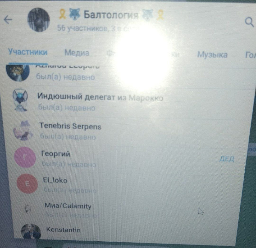 📋 Продолжение участников Балтологии: Azhurou Leoparu, Индюшный делегат из Марокко, Tenebris Serpens, Георгий (ДЕД), El_loko, Миа/Calamity.