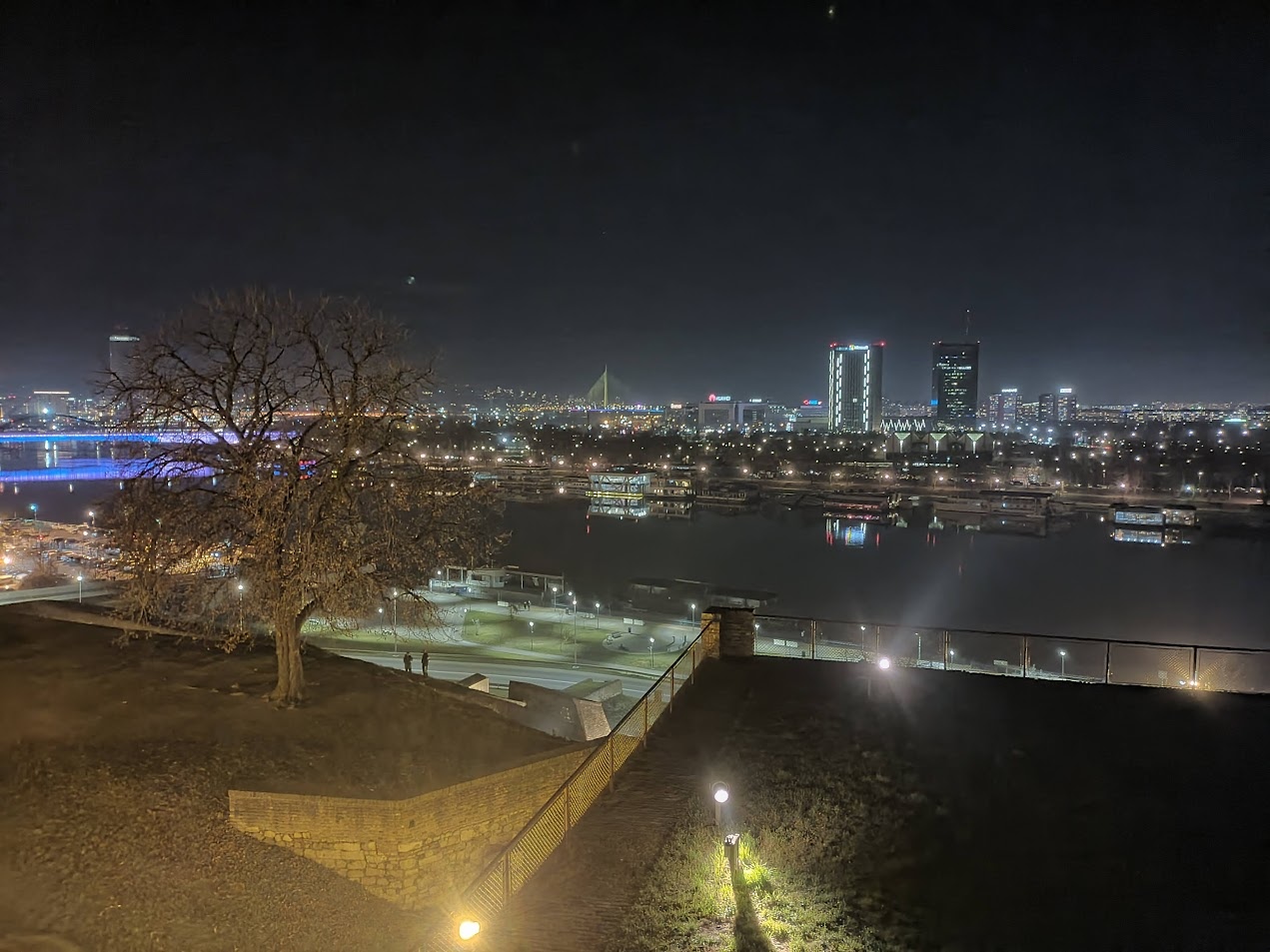 📷 Ночная панорама с крепости: вид на реку с мостами и высотными зданиями с подсветкой; дерево и бастион на переднем плане (вид с Калемегдана на Новый Белград).