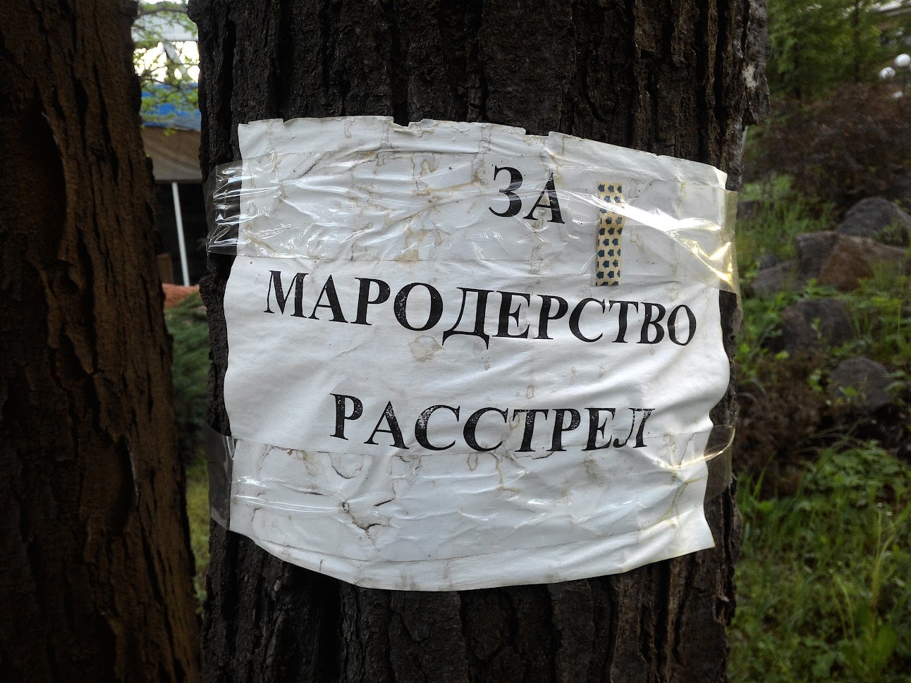 📷 Объявление на дереве (распечатка): «ЗА МАРОДЕРСТВО РАССТРЕЛ».