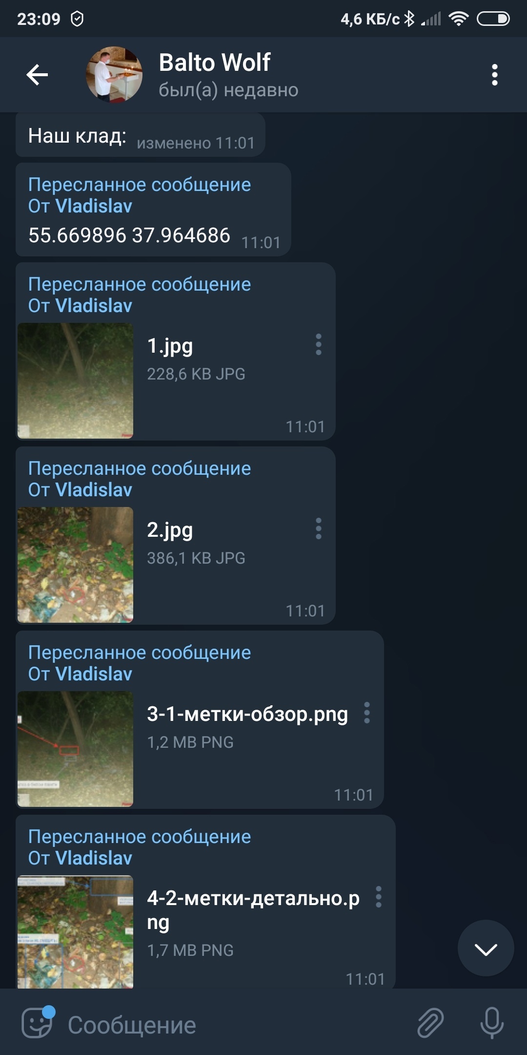 📋 Telegram, Balto Wolf, 23:09: пересланные сообщения — «пусть кирпич описание», «приклон скорее всего»; превью аэрофото улицы.