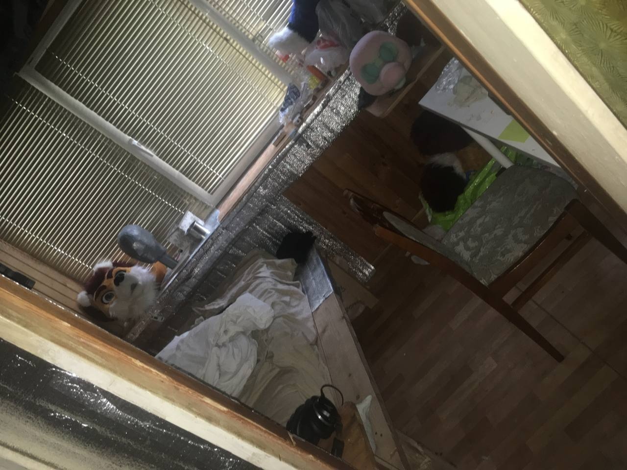 📷 Та же комната, перевёрнутый снимок — голова фурсьюта (белый/оранжевый) и кровать с белым постельным бельём.