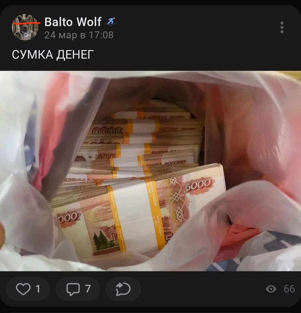 📋 ВКонтакте пост «Balto Wolf» 24 мар в 17:08: «СУМКА ДЕНЕГ» — фото пакета с пачками российских 5000-рублёвых купюр; 1 ❤ 7 💬 66 просмотров.