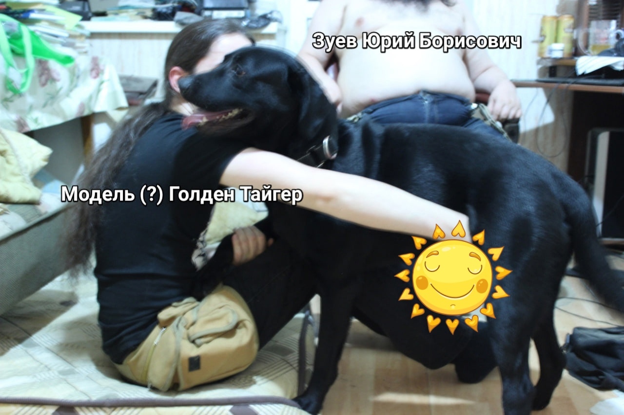 📷 Фото с подписями «Зуев Юрий Борисович» и «Модель (?) Голден Тайгер»: человек с длинными тёмными волосами сидит на полу; чёрная собака тянется к нему мордой; позади — полный мужчина; поверх — стикер улыбающегося солнышка.