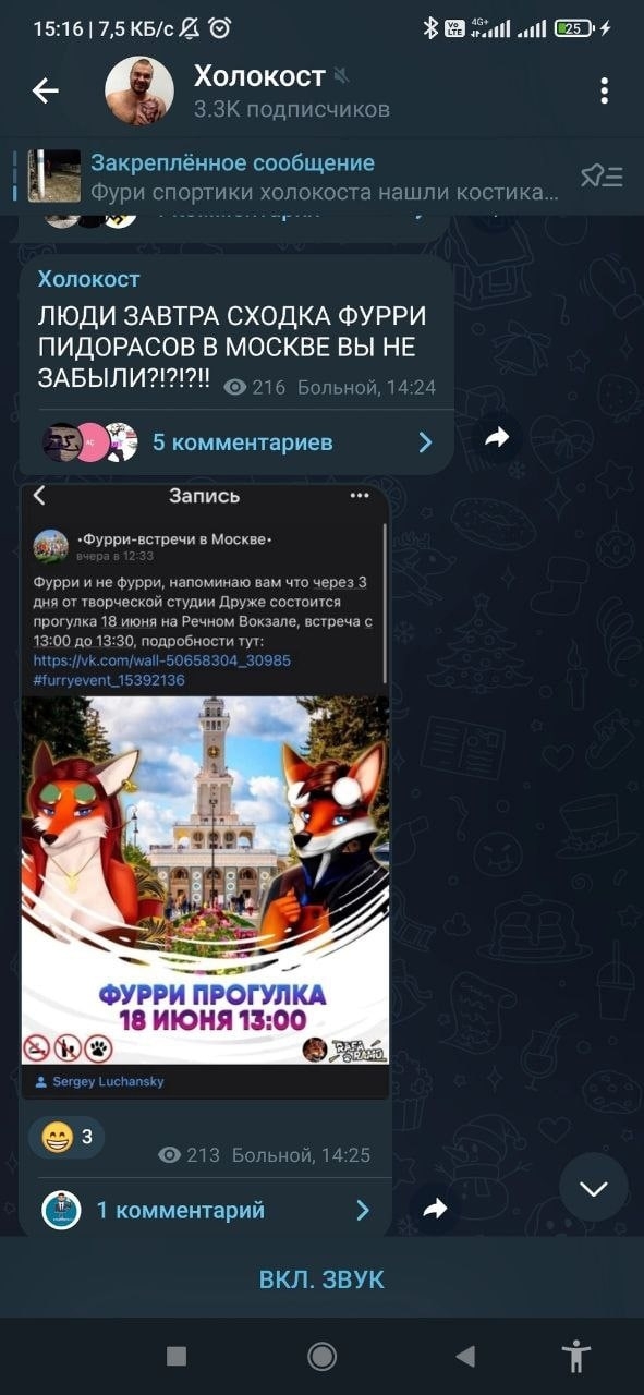 📋 Telegram канал «Холокост» (3.3K подписчиков): «ЛЮДИ ЗАВТРА СХОДКА ФУРРИ ПИДОРАСОВ В МОСКВЕ ВЫ НЕ ЗАБЫЛИ?!?!?!» (216 просмотров, Больной, 14:24); пересланное из «Фурри-встречи в Москве»: «прогулка 18 июня на Речном Вокзале, встреча с 13:00» — баннер «ФУРРИ ПРОГУЛКА 18 ИЮНЯ 13:00».
