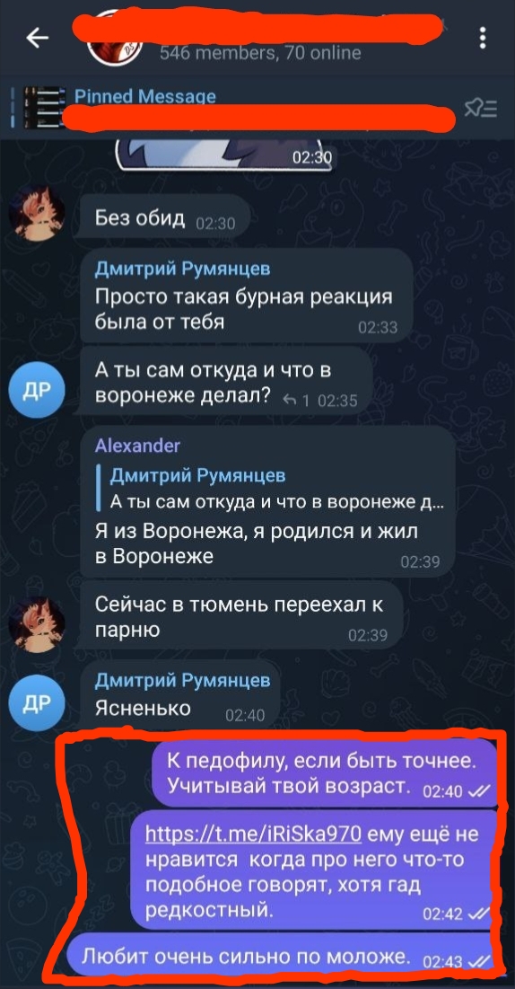 📋 Telegram-чат (546 members, Pinned Message): «Без обид» (02:30); Дмитрий Румянцев (02:33): «Просто такая бурная реакция была от тебя»; «А ты сам откуда и что в воронеже делал?» (02:35); Alexander (02:39): «Я из Воронежа, я родился и жил в Воронеже. Сейчас в тюмень переехал к парню»; Дмитрий Румянцев: «Ясненько.» (02:40); выделенное сообщение (02:40): «К педофилу, если быть точнее. Учитывай твой возраст.»; (02:42): «https://t.me/iRiSka970 ему ещё не нравится когда про него что-то говорят, хотя гад редкостный.» «Любит очень сильно по моложе.» (02:43).