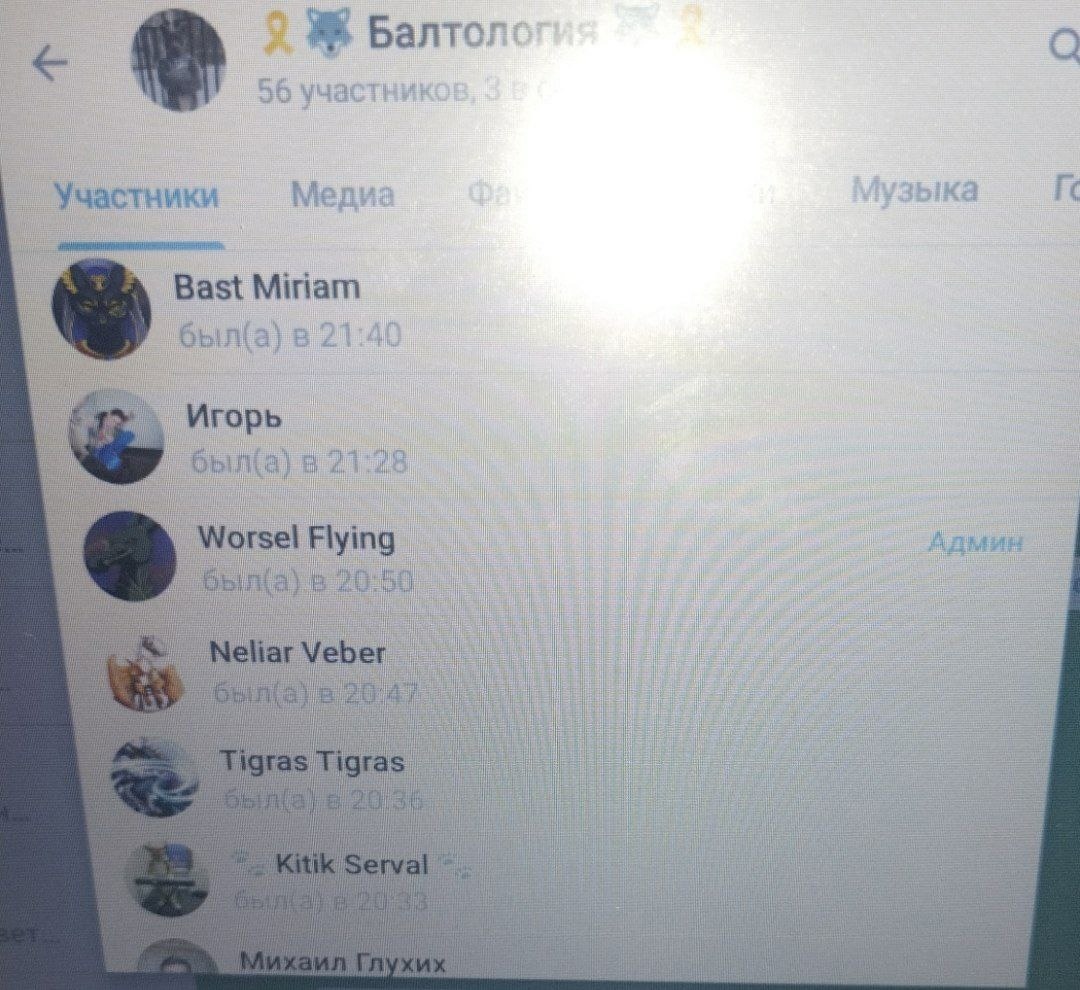 📋 Продолжение участников Балтологии: Bast Miriam, Игорь, Worsel Flying (Админ), Neliar Veber, Tigras Tigras, Kitik Serval.