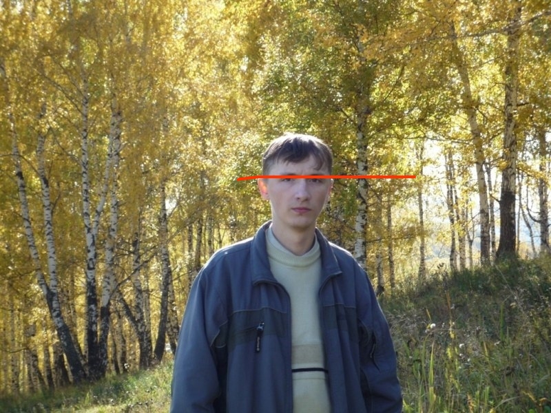 📷 Мужчина в серо-голубой куртке на фоне осеннего берёзового леса; лицо закрашено оранжевой горизонтальной линией.