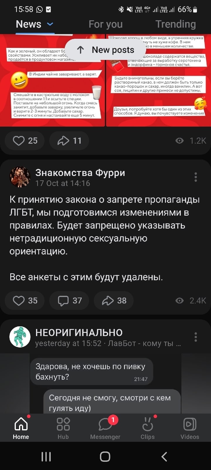 📋 TikTok News (15:58, 66%): «К принятию закона о запрете пропаганды ЛГБТ, мы подготовим изменения в правилах. Будет запрещено указывать нетрадиционную сексуальную ориентацию. Все анкеты с этим будут удалены.» ♥25 💬11 👁️1.2K; «НЕОРИГИНАЛЬНО» 15:32 «Лайби — кому ты 💀» ♥35 💬37 ↗38; личное сообщение: «Здорова, не хочешь по пиньке бахнуть?» — «Сегодня не смогу, смотри с кем гулять ходу».