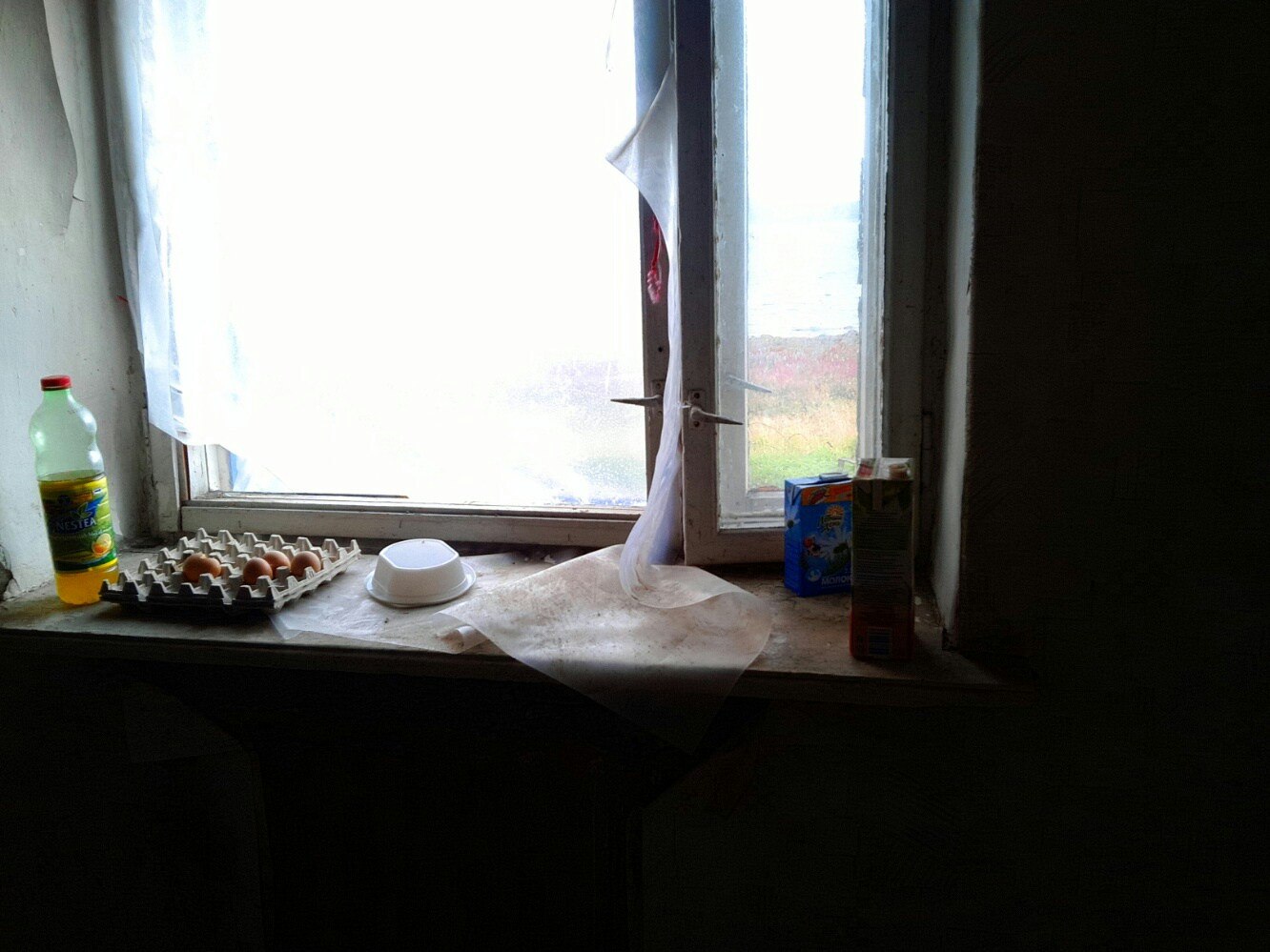 Подоконник в старом помещении: бутылка Nestea, лоток с яйцами, миска, пакет сока, через открытое окно виден серый пасмурный берег