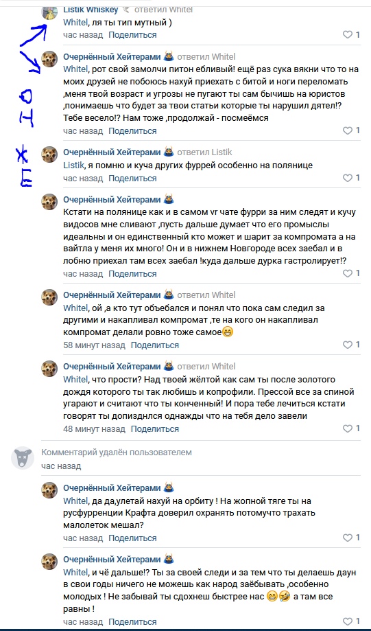 📋 Дополнительные комментарии ВКонтакте (Очернённый Хейтераки) с потоком плохограмотных угроз и оскорблений в адрес Whitel Dragon: «за своей следи... ничего не можешь как народ забивать, особенно молодых? Не забывай ты сделоешь быстрее нас 🙂 а там всё равно».