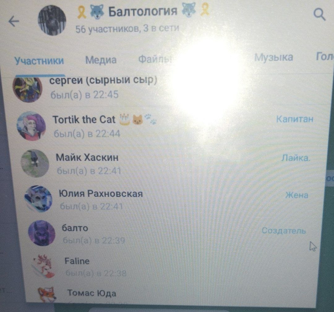 📋 Участники Балтологии (56 чел.): сергеи, Tortik the Cat (Капитан), Майк Хаскин (Лайка), Юлия Рахновская (Жена), балто (Создатель), Faline.
