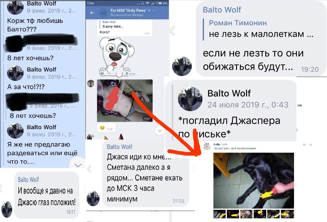📋 Коллаж скриншотов с Balto Wolf: «Корж тф любишь Балто???» — «8 лет хочешь?» — «А за что!?!?» — «8 лет хочешь?» — «Я же не предлагаю раздеваться или ещё что то...» — «И вообще я давно на Джасою глаз положил!» 13:17; Balto Wolf «не лезь к малолеткам... если не лезть то они обижаться будут...» 19:20; в Fur MSK «Unity Paws»: Balto Wolf «Джас иди ко мне... Сметана далеко а я рядом... Сметане ехать до МСК 3 часа минимум» 21:25; Balto Wolf 24 июля 2019 г., 0:43 «*погладил Джаспера по лиське*»; фото чёрной лабрадорообразной собаки.