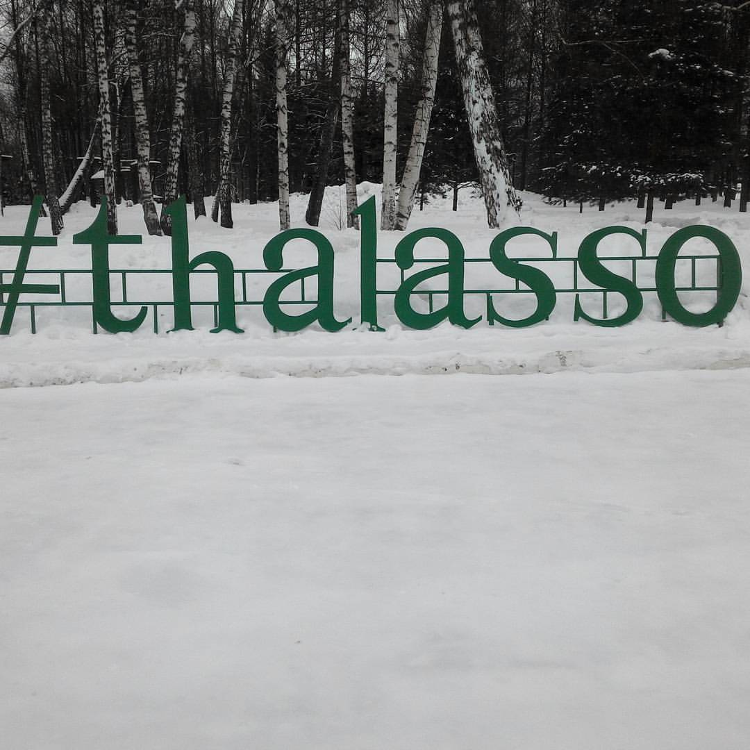 Фото зимнего пейзажа: на снегу стоит большая декоративная надпись «#thalasso» из тёмно-зелёных объёмных букв; позади голые берёзы и серое пасмурное небо; всё покрыто снегом