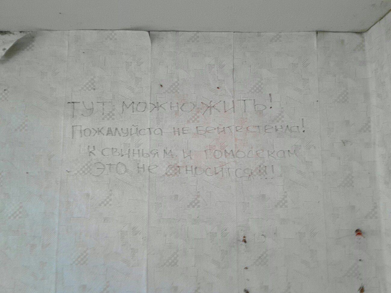 Стена с обшарпанными обоями: карандашная надпись «Тут можно жить! Пожалуйста не бейте стёкла!»