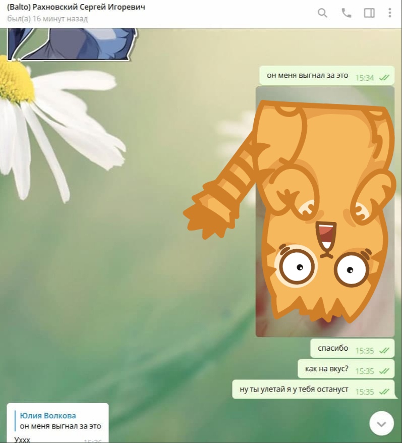 📋 Telegram (Balto): «он меня выгнал за это», «спасибо», «как на вкус?», «ну ты улетай я у тебя останусть».