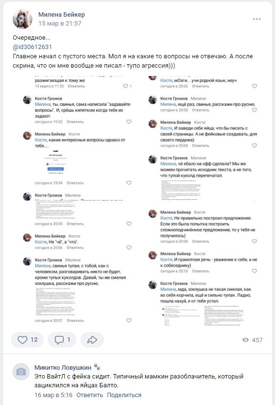 📋 Длинный текст ВКонтакте о фурри: «Из-за большого количества неадекватных людей, извращенцев, школоты и другого бесумора, репутация фурри — падает с каждым днём. Главное по основным мифам: 1. Вирт. Фурри да трахаются но не только с хем попало...» — разбор по пунктам о стереотипах фурри, в конце «если вам есть вопросы — пишите)».