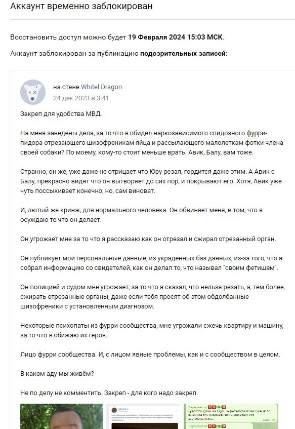 📋 ВКонтакте, страница «Аккаунт временно заблокирован» (19 февраля 2024 15:03 МСК); закреплённый пост «WhitEl Dragon», 24 дек 2023: «Закреп для удобства МВД. На меня заведены дела, за то что я обидел наркозависимого спидозного фурри-пидора... Он угрожает мне за то что я расскажу как он отрезал и сжирал отрезанный орган... Некоторые психопаты из фурри сообщества, мне угрожали сжечь квартиру и машину... Лицо фурри сообщества... Закреп — для кого надо закреп.»