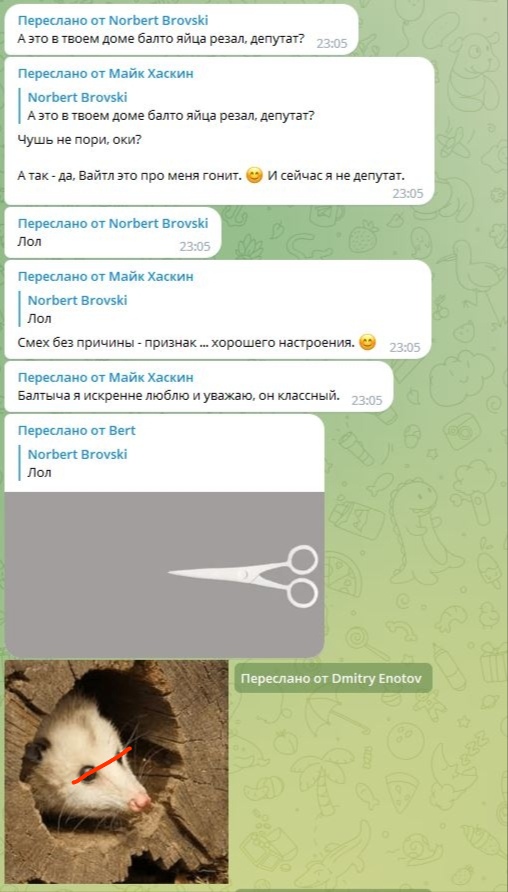 📋 Telegram скриншот: «Переслано от Norbert Brovski. Майк Хаскин: А это в твоём доме балто яйца резал, депутат? Norbert Brovski: Чушь не пори, оки? А так — да, Вайтл это про меня гонит. И сейчас я не депутат. Лол. Балтыча я искренне люблю и уважаю, он классный.» — «Переслано от Dmitry Enotov» фото опоссума с красной стрелкой + ножницы.